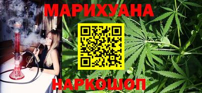 прущие грибы Будённовск
