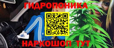 прущие грибы Будённовск