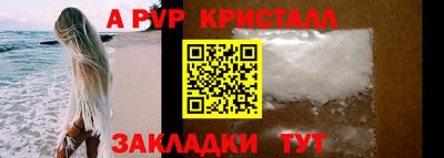прущие грибы Будённовск