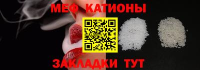 прущие грибы Будённовск