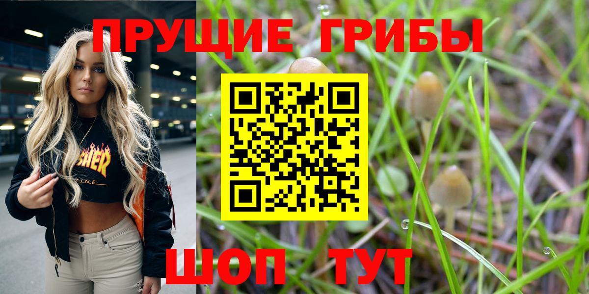 Курск  Галлюциногенные грибы MAGIC MUSHROOMS  Вход с VPN  Псилоцибиновые грибы мухоморы 